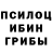 Псилоцибиновые грибы Psilocybine cubensis Keith Bush