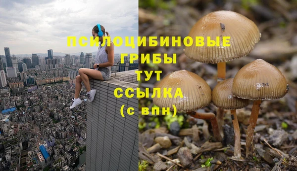 хмурый Алексеевка