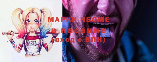 стаф Алексин