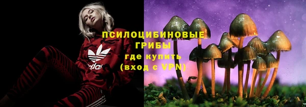 стаф Алексин