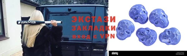 стаф Алексин