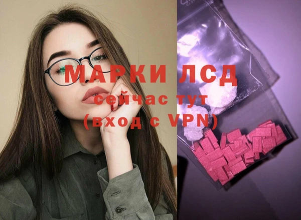 стаф Алексин