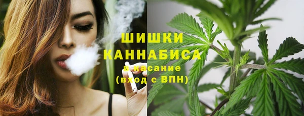 спиды Сосновоборск
