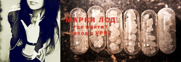 стаф Алексин