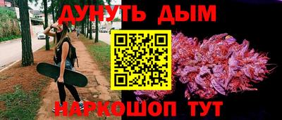 индика Братск