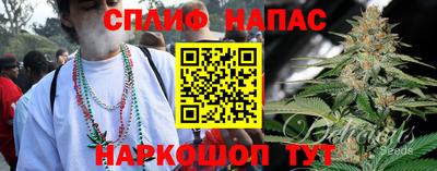 индика Братск