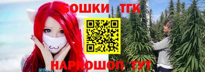 индика Братск