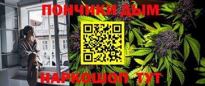 индика Братск