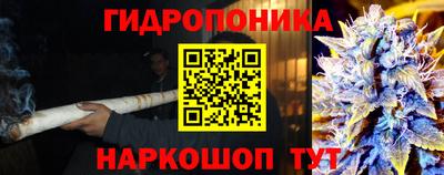 прущие крисы Боровичи