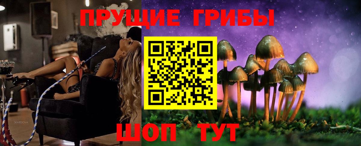 Псилоцибиновые грибы ЛСД  Вход с VPN  Богородск 