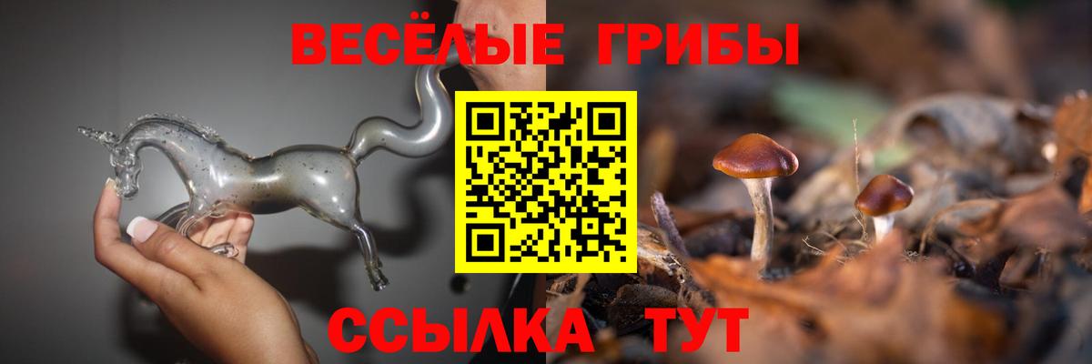 ГАШ  Вход с VPN  ТГК  МЕТ  Купить наркотики  Богородск  МЕФ кристаллы  КОКАИН  Канабис 