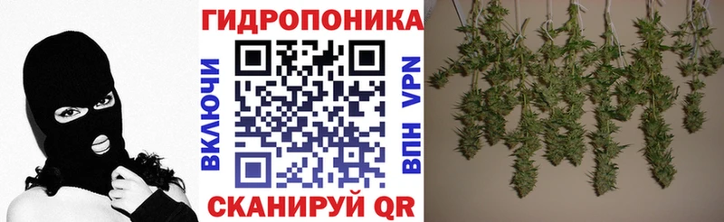 купить закладку  Богородск  mega рабочий сайт  Шишки марихуана тримм 